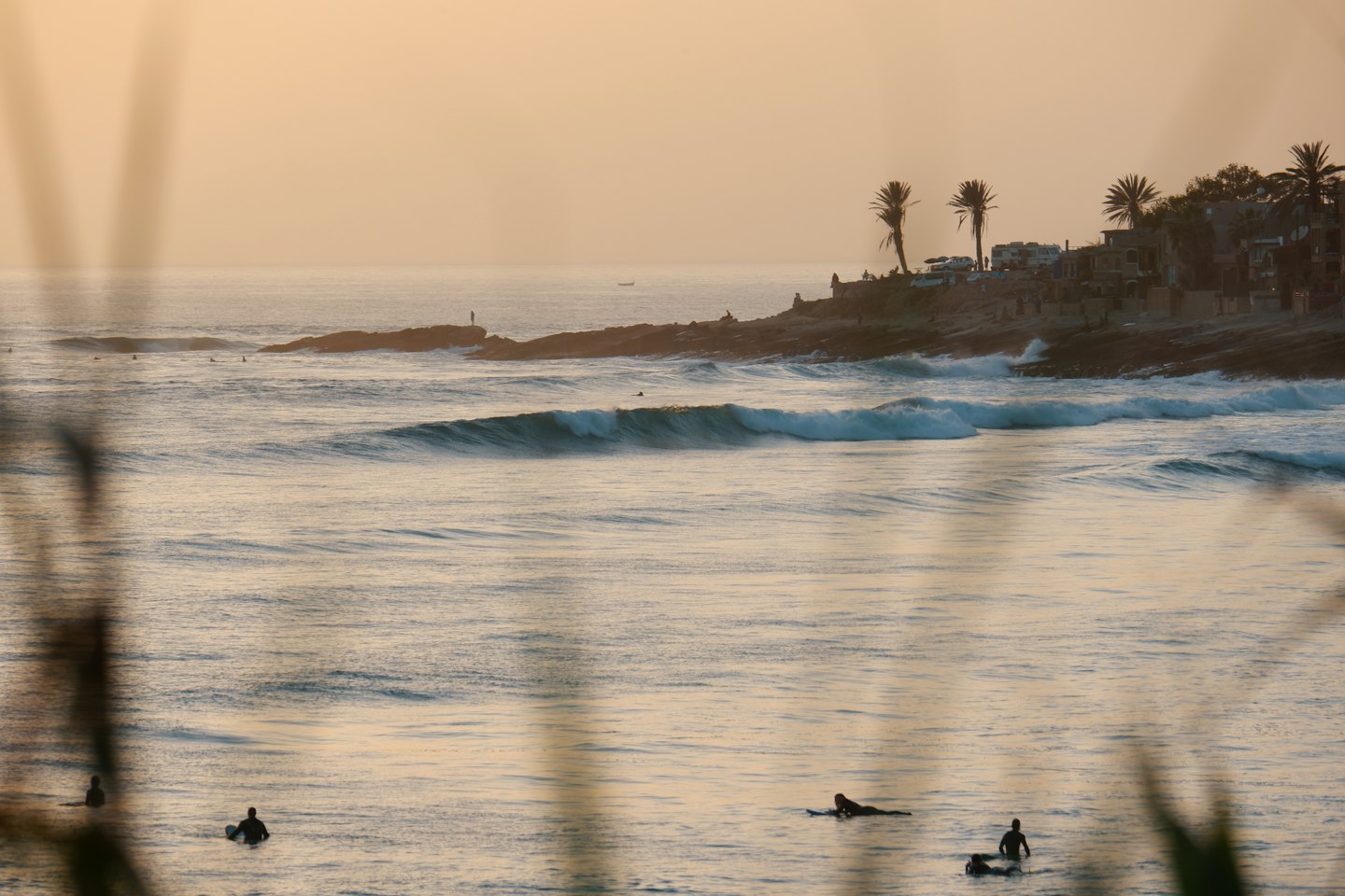 Surfers ride waves near a rocky coastline with palm trees.