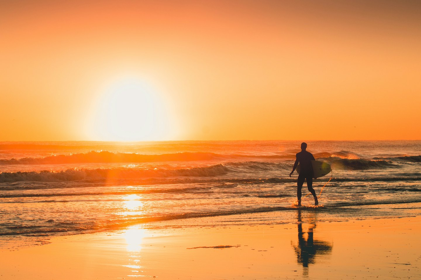 Surfer carries a surfboard while walking into the ocean waves.